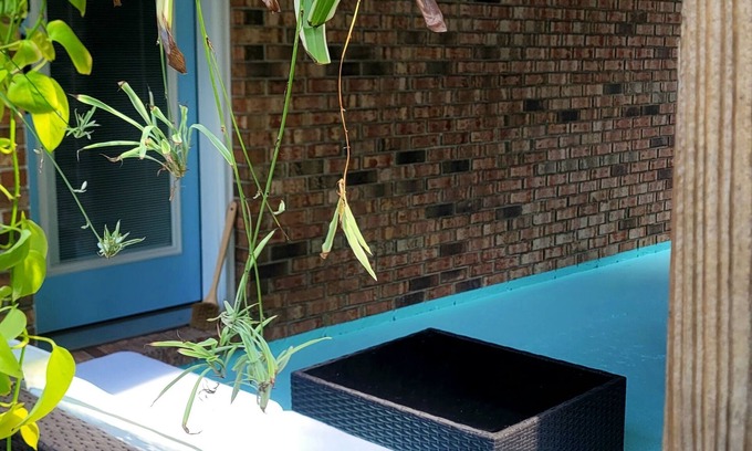 Milton Apartment | Cozy Studio Flat Steps from Emerald Coast's White Sands