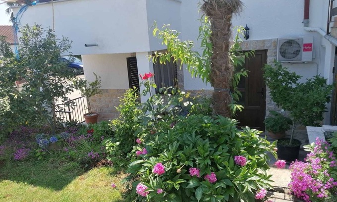 Dajla Apartment | Oceanfront Studio Flat with Terrace in Dajla, Novigrad
