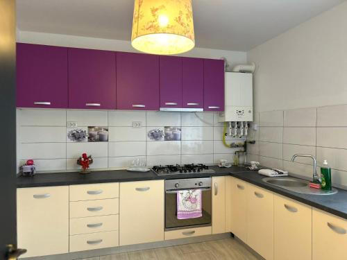 Hunedoara Apartment | Exceptional Studio G&A 2: Pet-Friendly & Family Approved