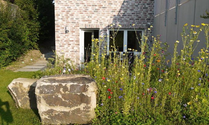 Reinfeld Apartment | Perfect Studio Near the Lake – Guest Rated 10/10