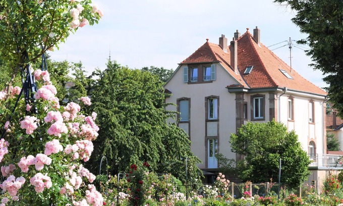 Saverne Apartment | Studio in house with garden