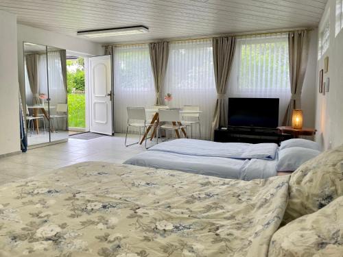 Horgen District Apartment | Convenient Studio Near Zurich with Family and Pet Amenities