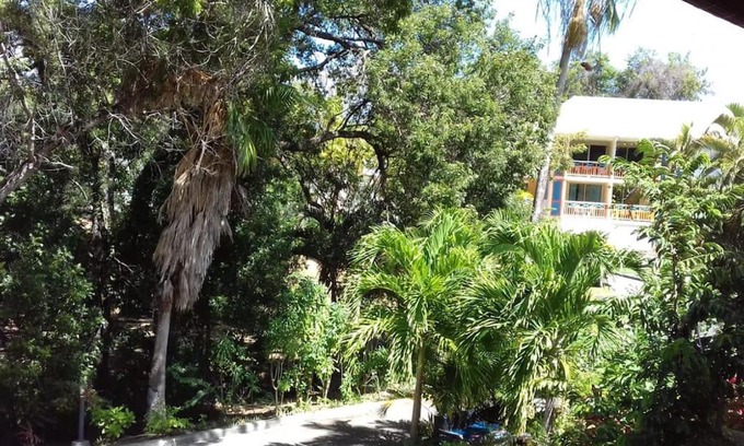 Sainte-Anne Apartment | Discover Studio Le Balisier - Guest Rated 9.6/10