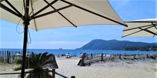 Les Sablettes Apartment | Oceanfront Studio le Monroe: 9.2/10 Guest Rated Retreat