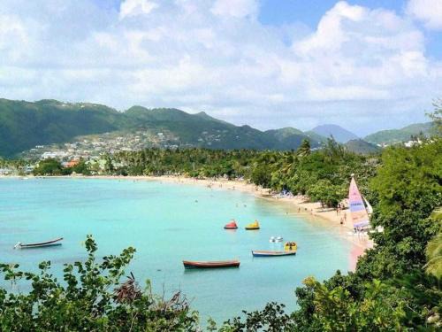 Sainte-Anne Apartment | Relaxing Oceanfront Studio with Pool and Pet-Friendly Perks