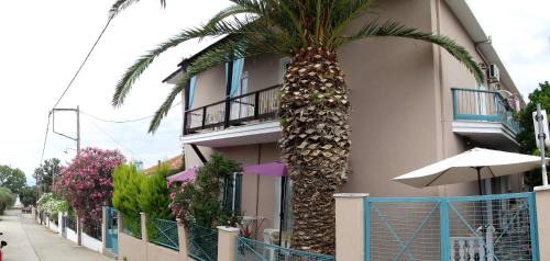Skala Sotiros Apartment | Pet-Friendly Studio Napoleon with Ocean View & Private Beach