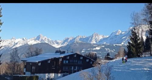 Combloux Apartment | Studio porte du Mont Blanc Combloux aux pieds des pistes