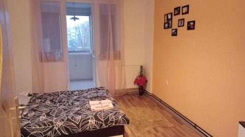 Sector 4 Apartment | Budget-Friendly Studio with Pet and Child Friendly Amenities