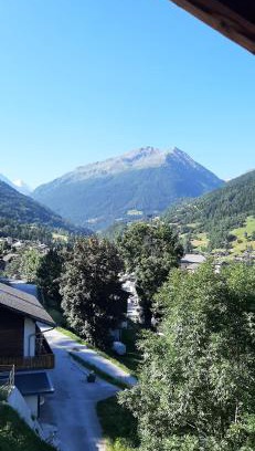 Lauenen Bei Gstaad Apartment | Studio Vissoie