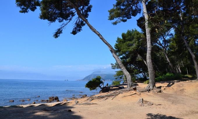 Saint-Mandrier-sur-Mer Apartment | Studio ZEN: Oceanfront Retreat with Top Amenities & Views