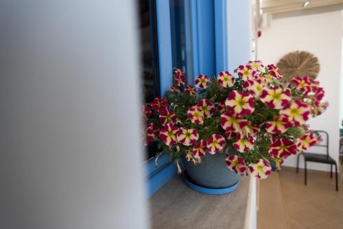 Lipsoi Hotel | Inviting Studios Angela Port: Oceanfront & Pet Friendly