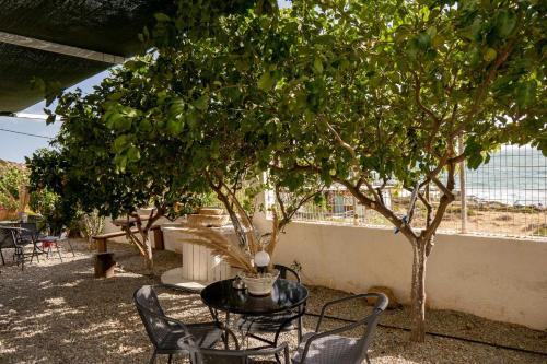 Gortyna Apartment | Experience Oceanfront Bliss at Studios Anna Maria
