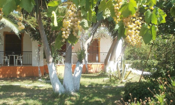 Xanemos Apartment | Pet-Friendly Studios Dimitris with Kitchen & Breakfast Included