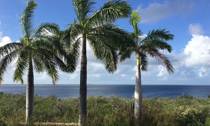 Sabadeco Villa | Stunning Oceanfront Villa, Direct Sea Access, Private Reef, Surrounded by Nature