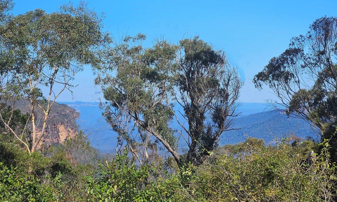 Wentworth Falls House | Relaxing Retreat with Spa, Views & 4 Bedrooms