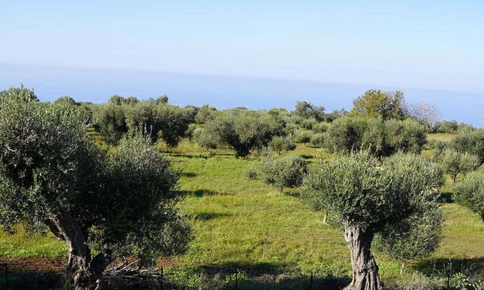 Zambrone Villa | Cozy Oceanfront Villa for Two with Panoramic Views