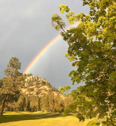 North Glenmore House | Stylish, artistic and cosy private guest house