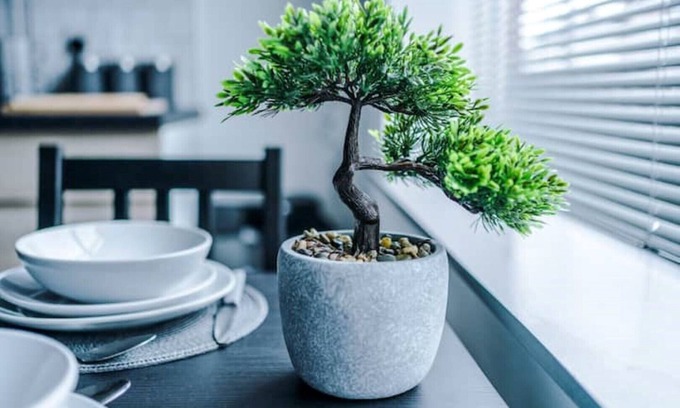 Warrington Apartment | Stylish Ground Floor Flat Warrington By Prime Stay