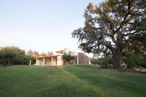 San Teodoro House | Oceanfront Retreat at Su Suberju with Stunning Views