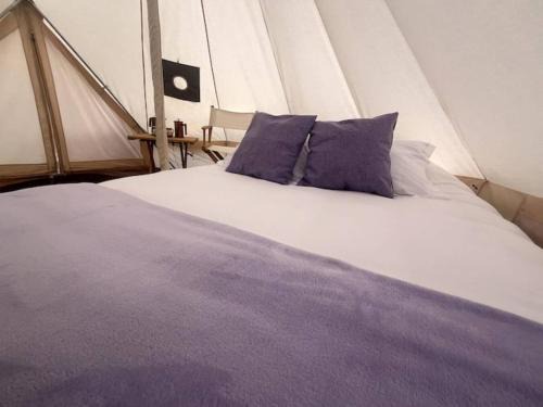 Texcoco de Mora Other | Sueño de Lavanda en Glamping Rincón de Lavanda