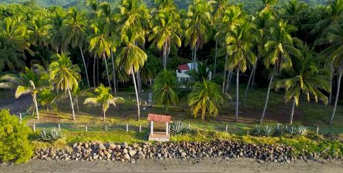 Punta Mango Hostel | Beachfront Sugarloaf Surf Lodge with Pet-Friendly Amenities
