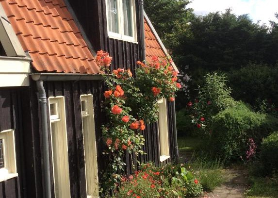 Schoorl House | Ocean View Retreat at Suikerdiefje - Rated 9/10 by Guests