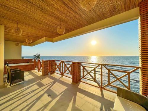 Tolu Apartment | Eco Hotel Laguna Beach: Pet Friendly Suite with Ocean Views