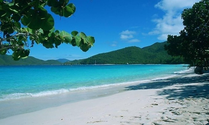 Maho Bay Quarter House | Beachfront Suite - Top-Rated Accommodations in National Park