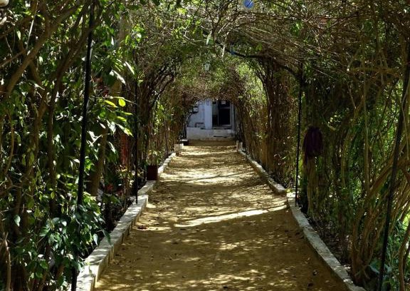 Pushkar Hotel | Discover Sukha's Place: Family-Friendly with Pool & Dining