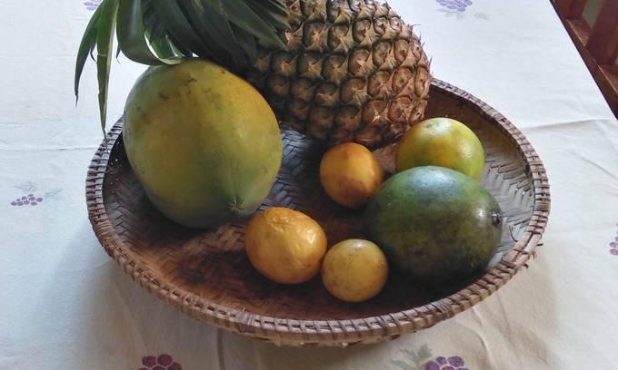 Stone Town House | Discover Suleiman Guest House for an Unforgettable Stay