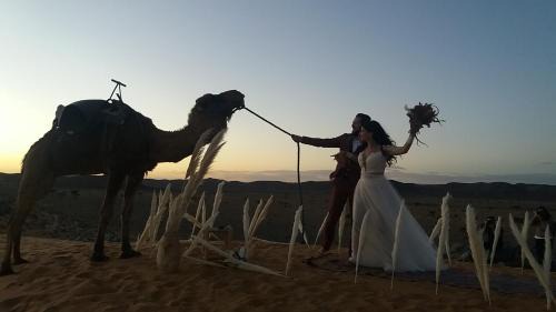 Rissani Other | Ultimate Experience at Sultan Luxury Camp: Pet-Friendly Stay
