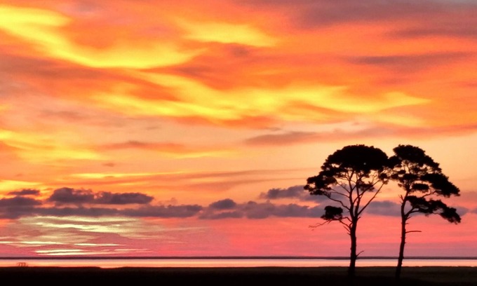 Cape Charles House | Nature-Lovers' Paradise: 66-Acre Waterfront Retreat!