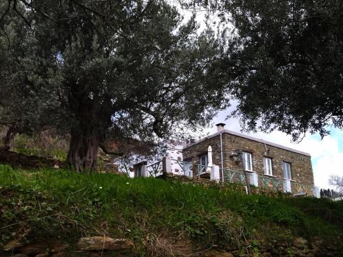 Andros Town Apartment | Cozy Summer Sunrise Andros: Pet-Friendly Family Retreat