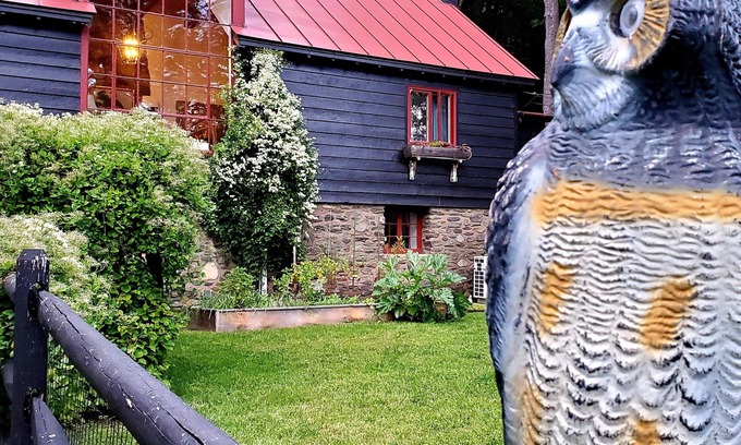 Mount Tremper Cottage | Experience Winter Bliss: Ski, Spa & Weekend Specials Await