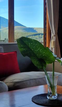 Ruiterbos Villa | Pet-Friendly Summer Villa: Family-Approved 4-Star Retreat