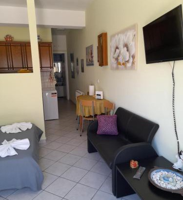Paleopolis Apartment | Top-Rated SummerAndros Pefkakia with Breakfast Included