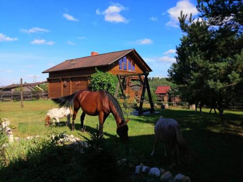 Birzgale House | Discover Skaistkrasti: Family and Pet-Friendly Retreat