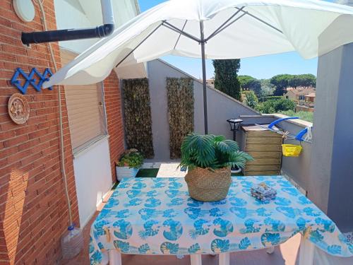 Campo Ascolano Apartment | Family-Friendly Sun Beach Apartment with Pet Amenities