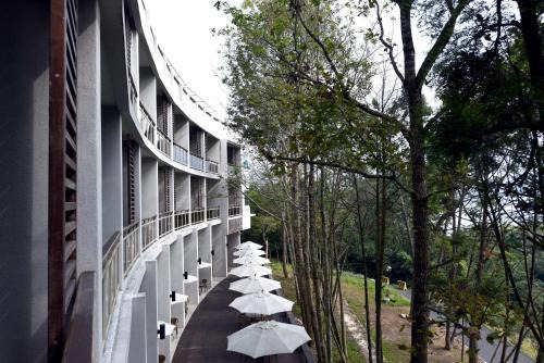 Yuchi Hotel | Relax at Sun Moon Lake Bamboo Rock Garden with Pool Access