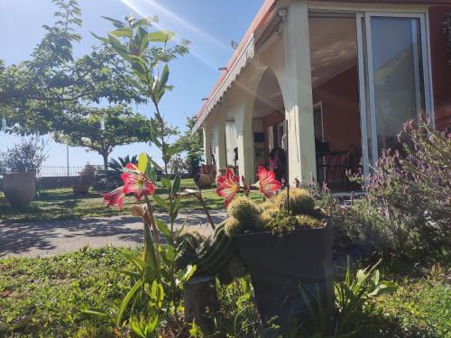 Lygia House | Sun N Sand