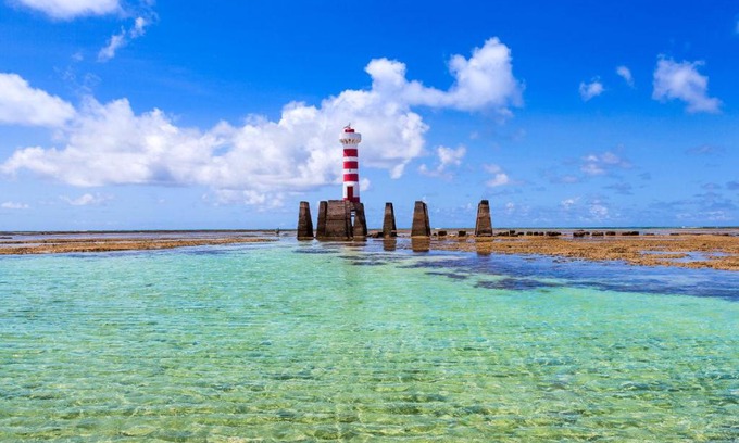 Ponta Verde Apartment | Pet-Friendly Oceanfront Retreat at Sun Paradise - Pio X