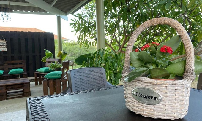 Sero Colorado Apartment | Relaxing Sun Sand & Sea Retreat near Baby Beach for Kitesurfers