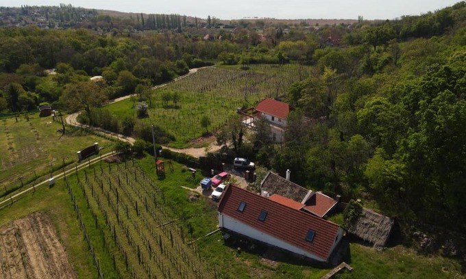 Abrahamhegy House | Relaxing Sun & Wine Retreat at Balaton - Pet Friendly Stay
