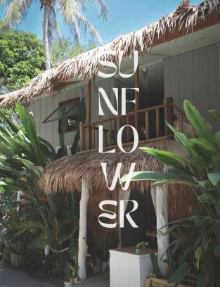 Satun Hotel | Delightful Sunflower Guesthouse & Animal Rescue in Koh Lipe