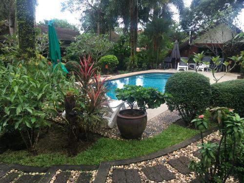 Khuekkhak House | Beachfront Sunflower Bungalow with Pool and Ocean Views