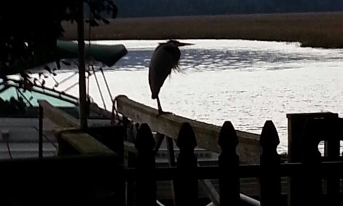 Seabrook House | Sunmist Cottage: Tranquil Getaway with Ocean View & Dock