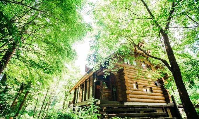 Otari-mura Cabin | Pet-Friendly Sunnsnow Log House - Rated 10/10 for Family Fun