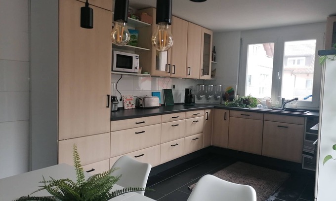 Denzlingen Apartment | Sunny and large 1 room apartment (60m²) on the outskirts of Denzlingen /15 km from Freiburg