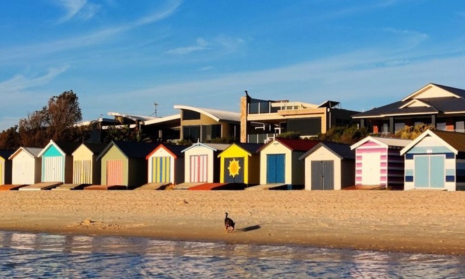 Edithvale Apartment | Sunny Beachside Getaway