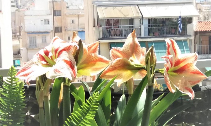 Kypseli Apartment | Central Athens Penthouse with Breakfast & Family Amenities